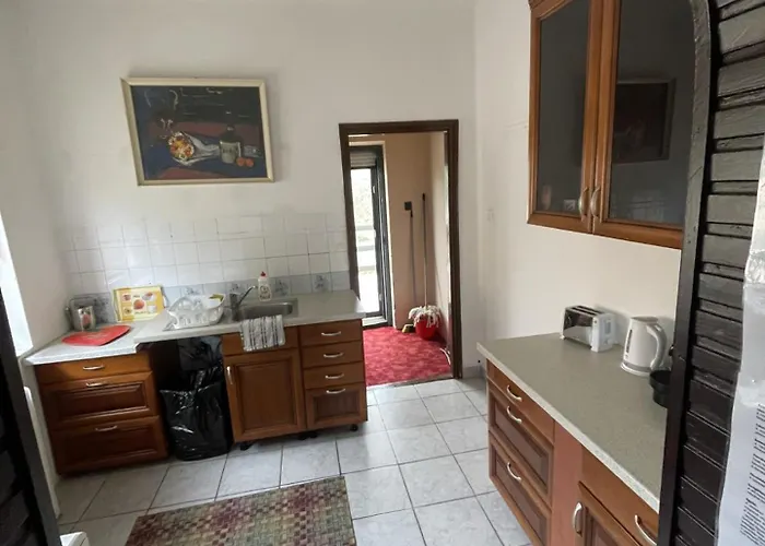 Lakepark Garden With Swimming Pool & Park Daire Bekecs
