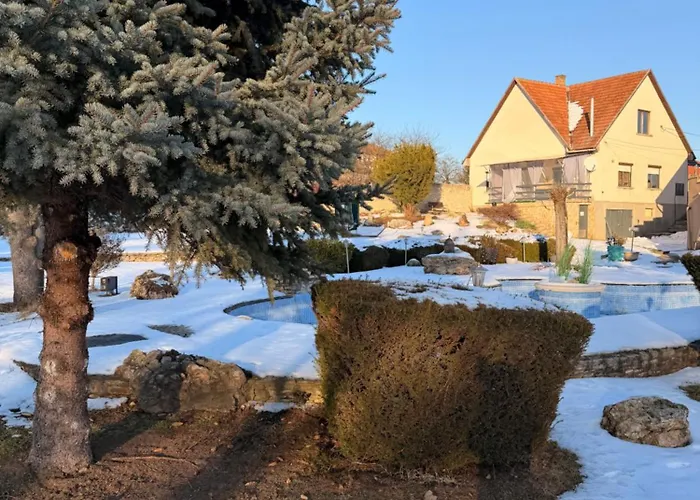 Lakepark Garden With Swimming Pool & Park * Bekecs